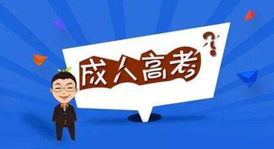 成考学什么
