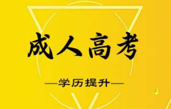 成人高考需要准备什么
