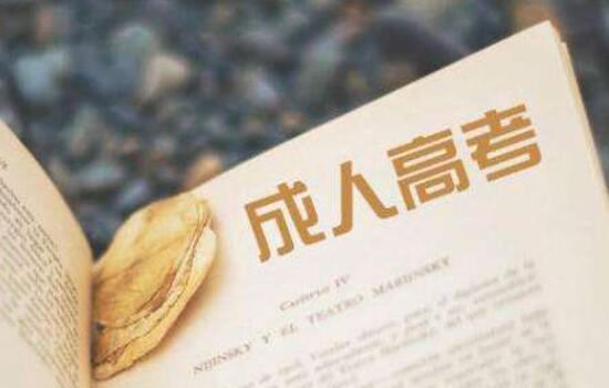 成考备考