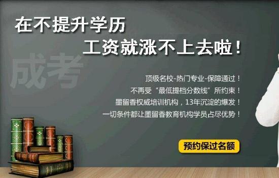 成考学什么专业好